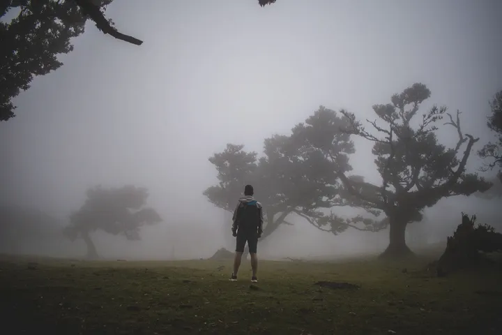 안개 속 벌판의 나무 아래 선 사람의 뒷모습